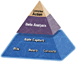 Data management Services
